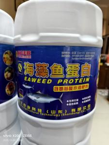 海藻鱼蛋白